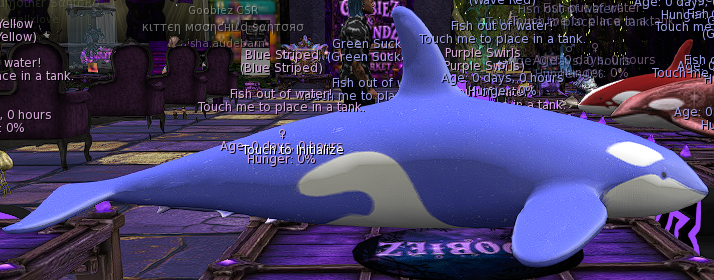 Orca: Blue Orca